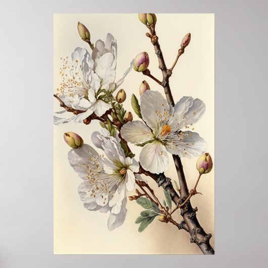 Amandelbloesems bloemenkunst Print Poster (Voorkant)