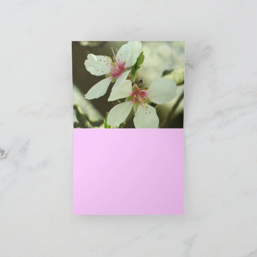 Amandelbloesems Notecard Kaart (Binnen)