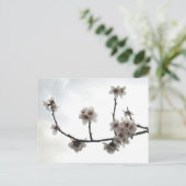 amandelboom briefkaart (Staand voorkant)