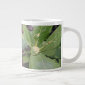 Amandelboom Close-up Grote Koffiekop (Rechts)