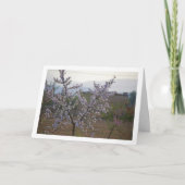 Amandelboom in bloei kaart (Voorkant)