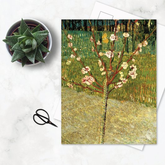 Amandelboom in Blossom Vincent van Gogh Briefkaart