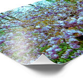 Amandelboom in de tuin van Monet Foto Afdruk (Hoek)