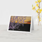 Amandelboom 's Nachts Kaart (Gele Bloem)