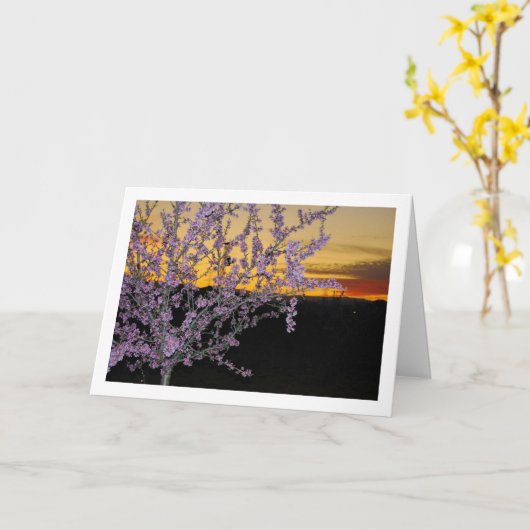 Amandelboom 's Nachts Kaart (Gele Bloem)