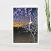 Amandelboom 's Nachts Kaart (Voorkant)