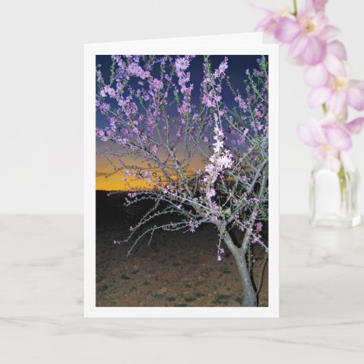 Amandelboom 's Nachts Kaart (Orchidee)