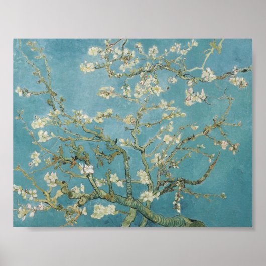 Amandelboom, van Gogh Poster (Voorkant)