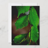 Amandelboom verlaat uitnodiging (Voorkant)