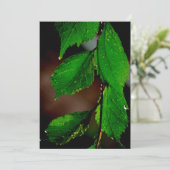 Amandelboom verlaat uitnodiging (Staand voorkant)