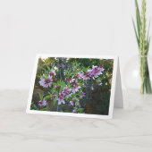 Amandelboombloesem Kaart (Voorkant)