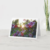 Amandelboombloesem zonsondergang kaart (Voorkant)