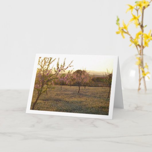 Amandelboomgaard in de lente kaart (Gele Bloem)