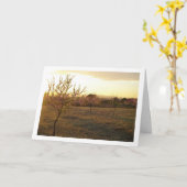 Amandelboomgaard in de lente kaart (Gele Bloem)