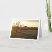 Amandelboomgaard in de lente kaart (Voorkant)