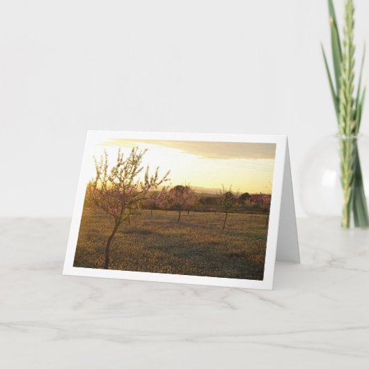 Amandelboomgaard in de lente kaart (Voorkant)