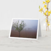 Amandelboomgaard op mistige ochtend kaart (Gele Bloem)