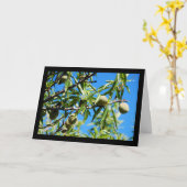Amandelen in Blauwe Lucht Kaart (Gele Bloem)