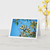 Amandelen op Boomtak Kaart (Gele Bloem)