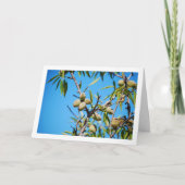 Amandelen op boomtak kaart (Voorkant)