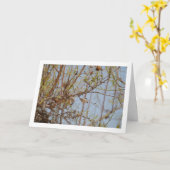 Amandelen op Branch Kaart (Gele Bloem)