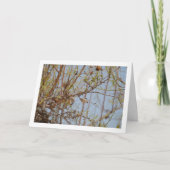 Amandelen op Branch Kaart (Voorkant)