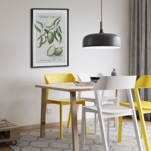 Amandelen,  Poster met botanische illustratie