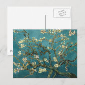 Amandelfilialen in Bloom Briefkaart (Voorkant / Achterkant)