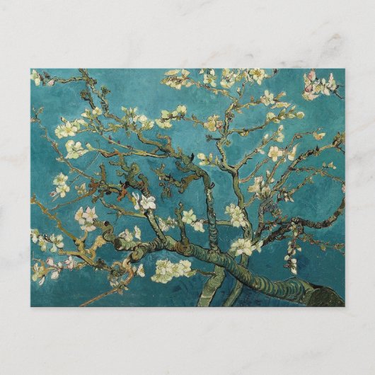 Amandelfilialen in Bloom Briefkaart (Voorkant)