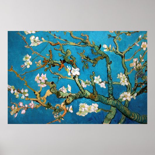 Amandelfilialen in Bloom Detail, Van Gogh Poster (Voorkant)