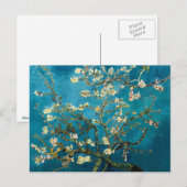 Amandelfilialen in Bloom Post Kaart (Voorkant / Achterkant)