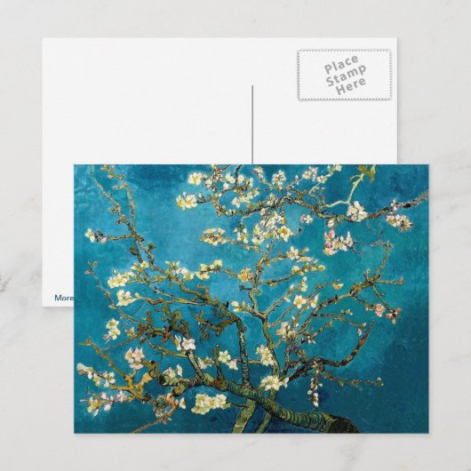 Amandelfilialen in Bloom Post Kaart (Voorkant / Achterkant)