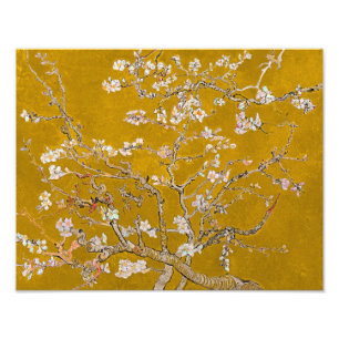 Amandeltakken in bloei (goud) Van Gogh Foto Afdruk
