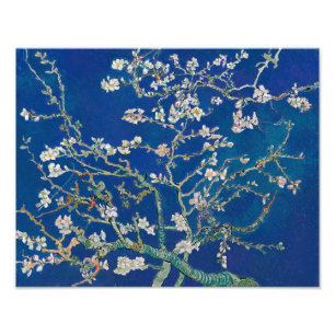 Amandeltakken in bloei (Indigo) Van Gogh Foto Afdruk