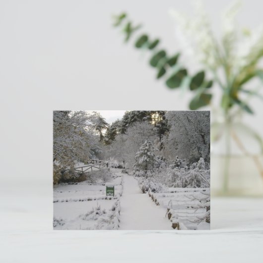 Amanecer Nevado Briefkaart (Staand voorkant)