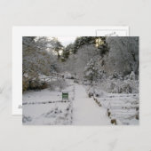 Amanecer Nevado Briefkaart (Voorkant / Achterkant)
