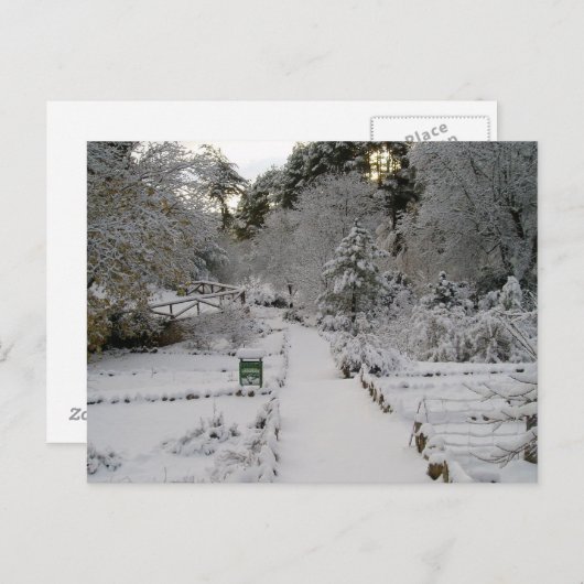 Amanecer Nevado Briefkaart (Voorkant / Achterkant)