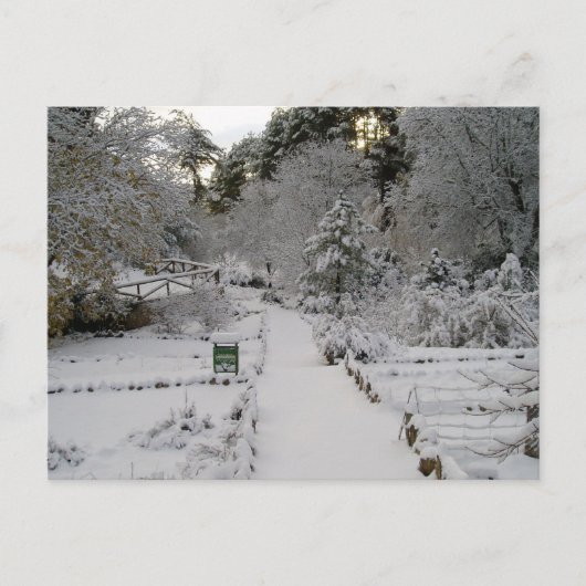 Amanecer Nevado Briefkaart (Voorkant)