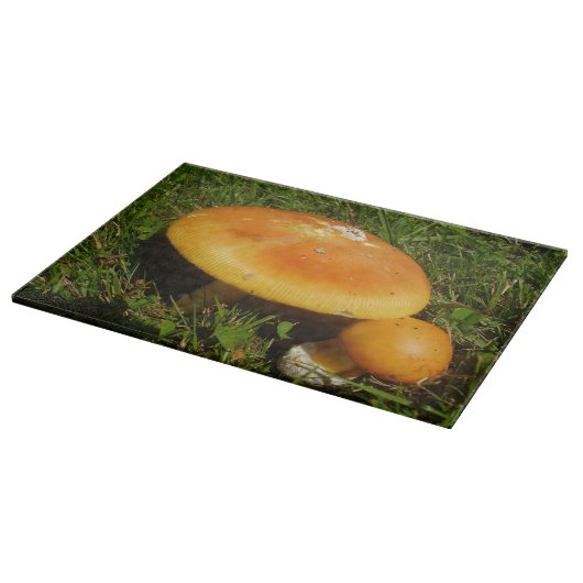 Amanita Caesarea Mushroom Glass Choping Board Snijplank (Hoek)