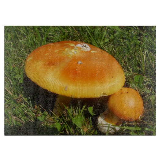 Amanita Caesarea Mushroom Glass Choping Board Snijplank (Voorkant)