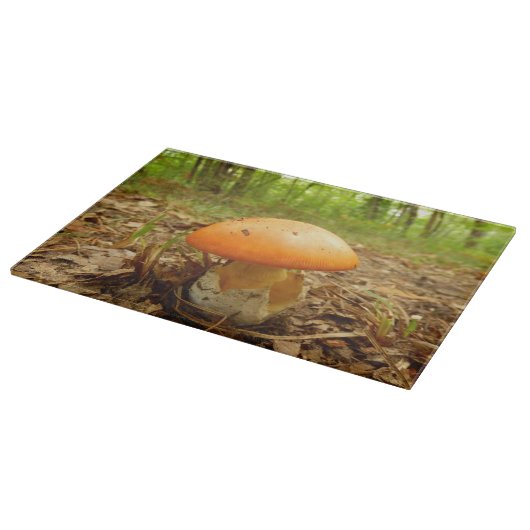 Amanita Caesarea Mushroom Glass Choping Board Snijplank (Hoek)