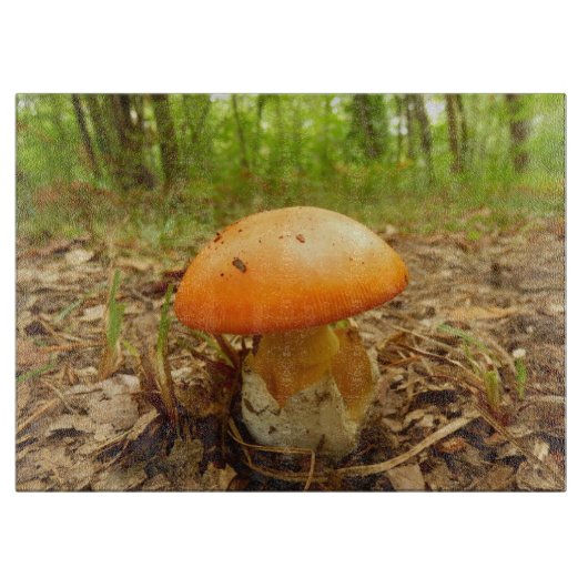 Amanita Caesarea Mushroom Glass Choping Board Snijplank (Voorkant)