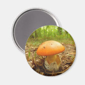 Amanita Caesarea Mushroom Magnet (Voorkant / Achterkant)