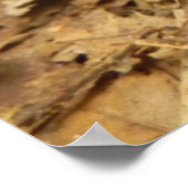 Amanita Caesarea paddenstoel Poster (Hoek)