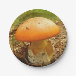 Amanita Caesarea Paddenstoelenpapier Borden Papieren Bordje