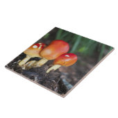 Amanita-gezamer Tegeltje (Zijkant)