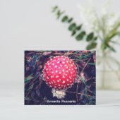 Amanita Muscaria Briefkaart (Staand voorkant)