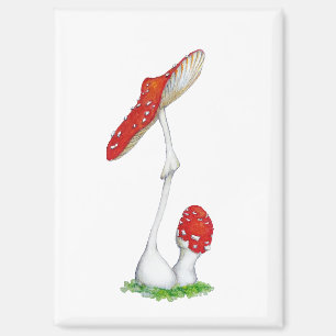 Amanita muscaria magneet