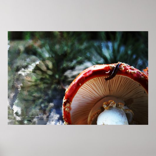Amanita Muscaria met slug Poster (Voorkant)