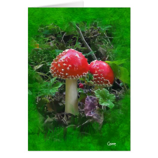 Amanita Muscaria over groene kunst - 5 x 7 inch Ka (Voorkant)